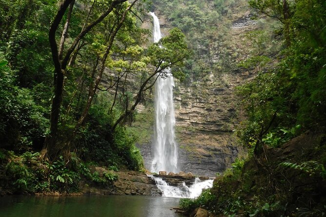 Zipline and Waterfall Private Tour From Medellin - Good To Know