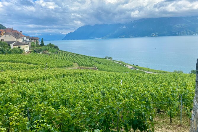Zurich Private Tour - Gruyères, Cheese, and Lavauxs UNESCO Wine - Overview of the Tour