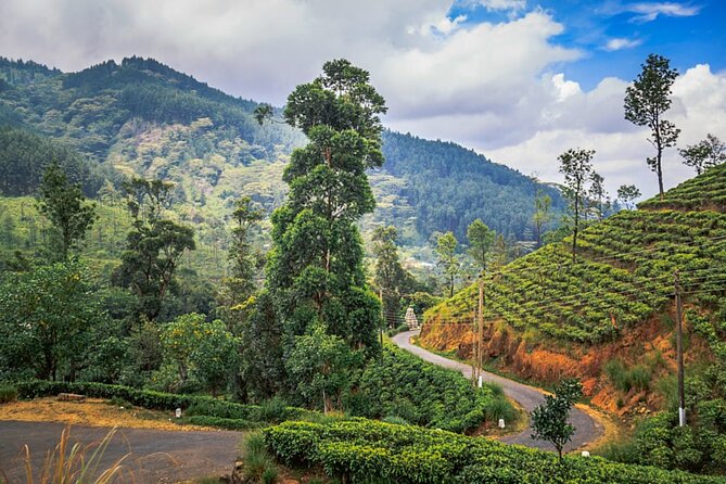 02 Days Knuckles and Riverston Trekking From Kandy - Location and Inclusions