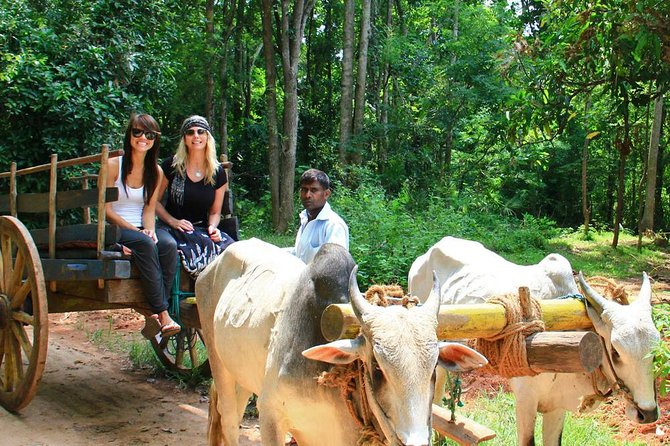 02 Days Private Sigiriya and Minneriya Tour With Village Experience From Colombo - Pickup Information and Logistics