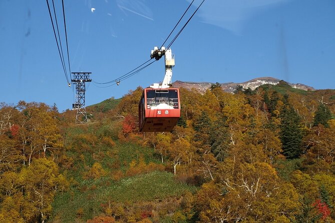 1 Day Fascinating Asahidake and Biei Discovery Tour in Hokkaido - Good To Know