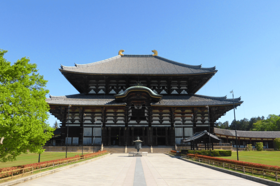 1 Day Osaka to Nara: Escape to Find Peace With Temple & Deer