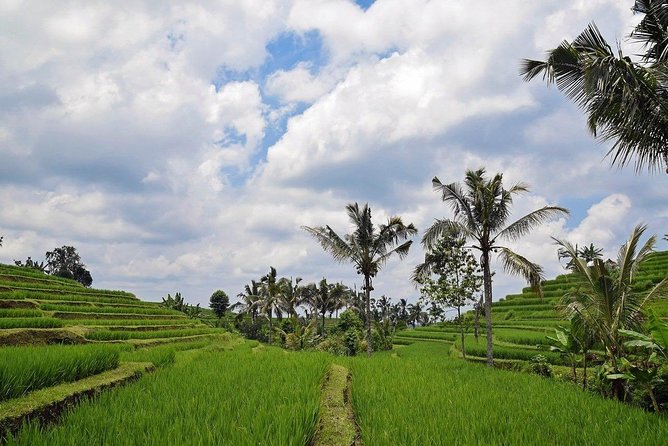 1 Day【12 Hour Private Car Charter】Provide the Comfort and Pleasure of Tour.An Unforgettable Day for You in Bali With a Friendly and Experienced Guide Driver. - Good To Know