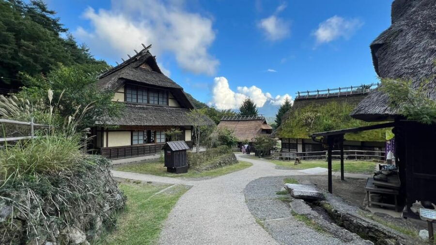 1 Day 10 Hrs Mt Fuji & Lake Kawaguchiko Tour With Eng Driver - Tour Overview and Pricing