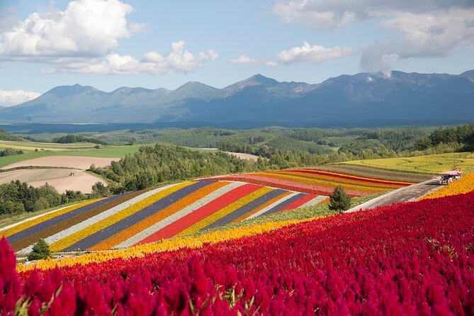 1 Day Fascinating Asahidake and Biei Discovery Tour in Hokkaido - Tour Details