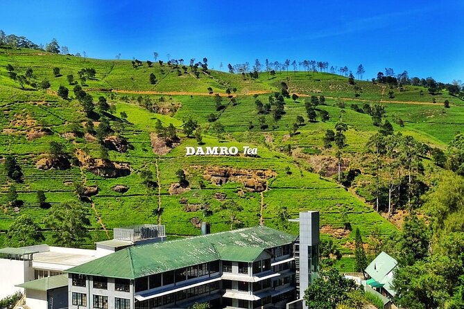 1 Day Tour of Nuwara Eliya – Private Tour From Kandy