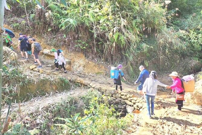 1 Day Trekking Tour Through Rice Terraced Fields From Sapa Town