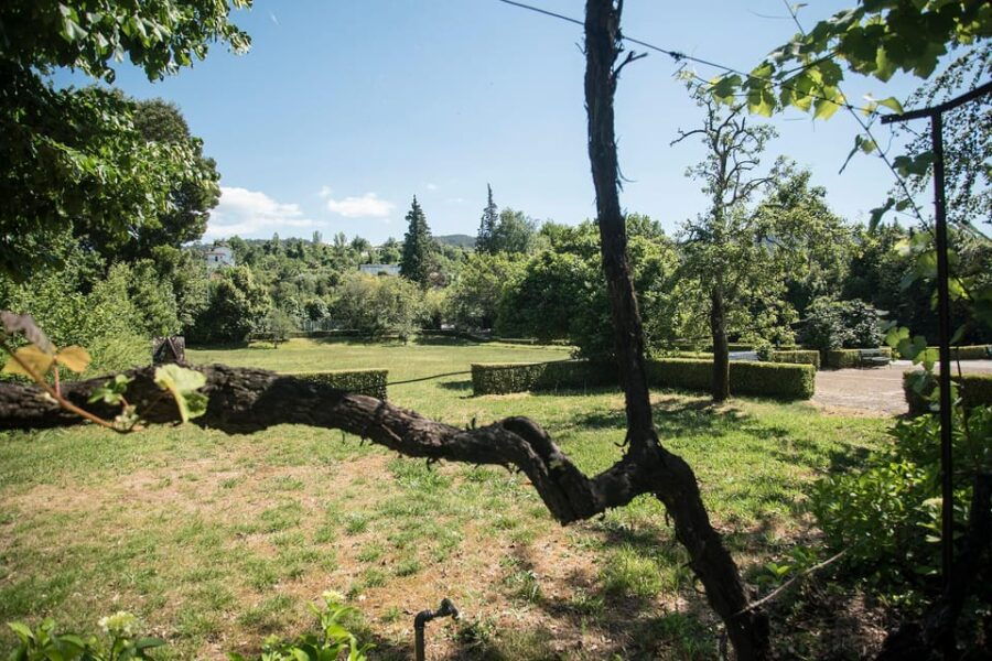 1 Day Vinho Verde - Wine Experience, Braga - Tour Overview and Pricing