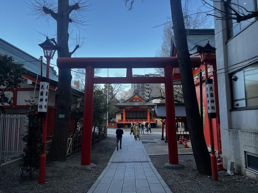 1 Day Walking Tour in Shinjuku and Shibuya: The Best of Both - Tour Overview