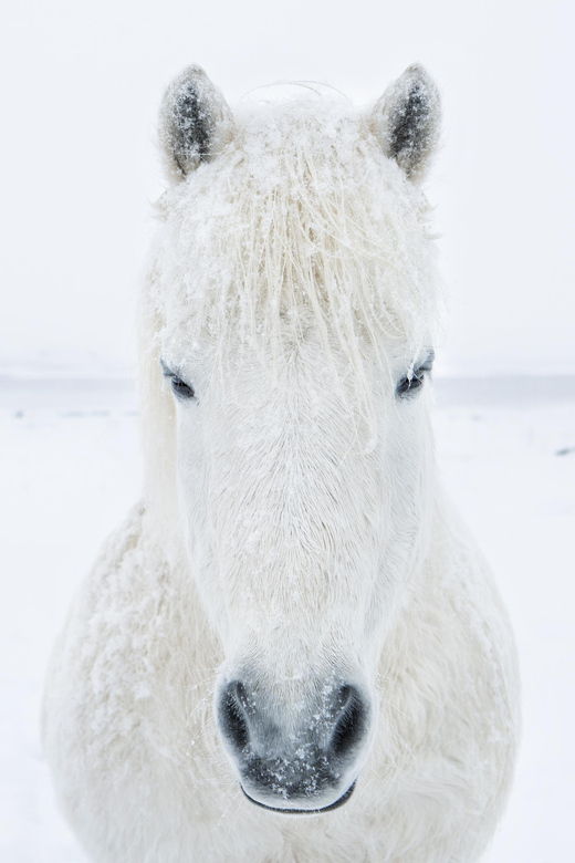 1 Week Luxury Iceland Aurora Borealis Photography Workshop