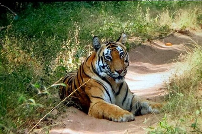 10 Nights / 11 Days – Taj Mahal With Central India Package