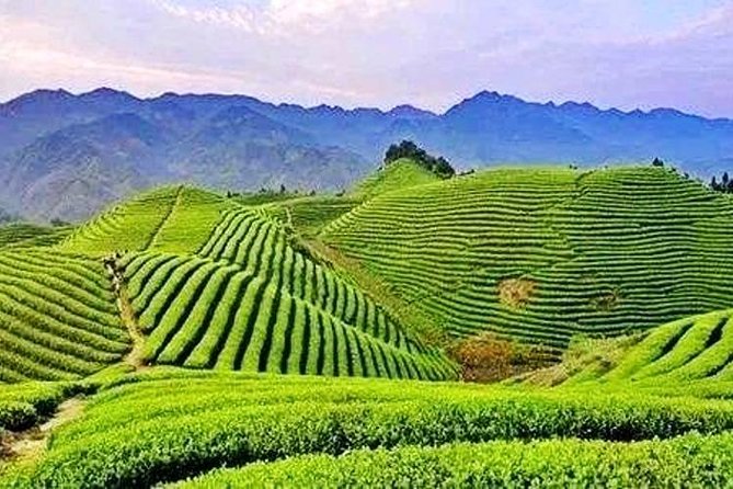 2-Day Mountain Wuyi Private Flexible Tour From Shanghai by Bullet Train