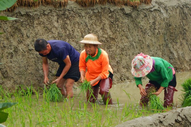 2-Day Muong Hoa Valley Private Hiking Tour - Tour Overview