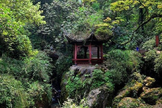 2 Days Chengdu Panda Base, Leshan Giant Buddha and Mt.Emei Group Tour - Tour Details