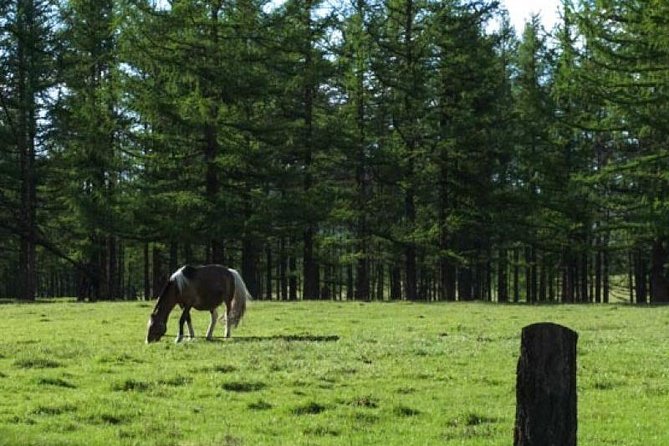 2 Days Terelj National Park With Horse Riding