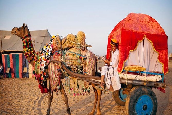 3-Day Private Tour of Jaisalmer With Desert Camp Experience - Itinerary Overview