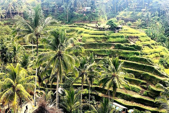 3 Days 2 Nights Unique Explore Bali – Gold Packages - Inclusions and Exclusions