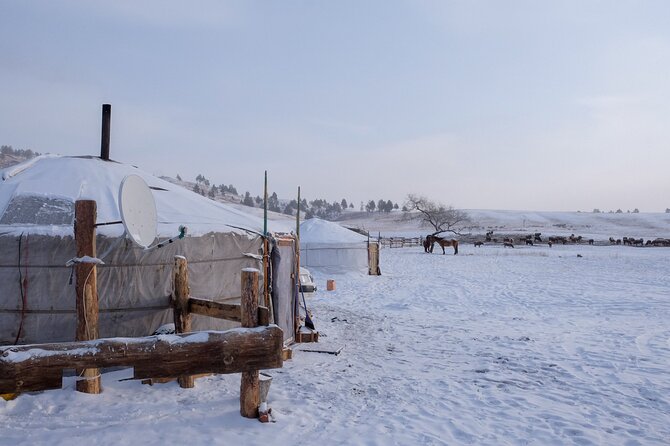 3 Days Authentic Nomadic Life Experience Tour