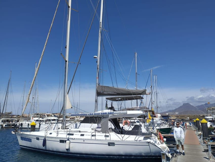 3h Whale Watching Private Tour Beneteau Oceanis 440