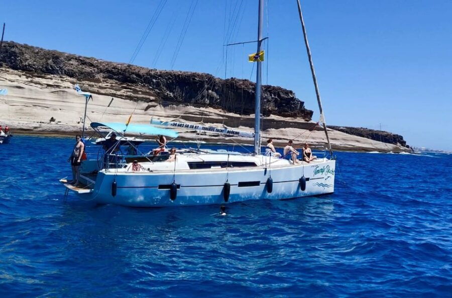 3h Whale Watching Share Tour Costa Adeje Lina7 Mizendoha - Tour Overview