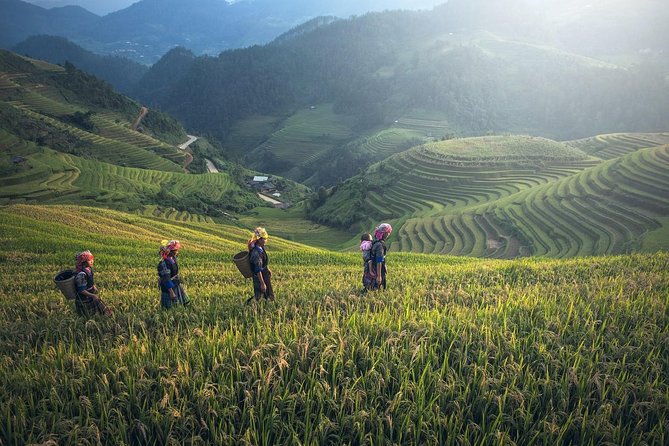 4 Day 3 Night Adventure - Itinerary Highlights