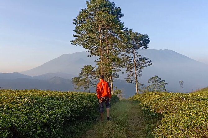 4 Day 3 Night Private Tour Dieng (Jakarta -Wonosobo)