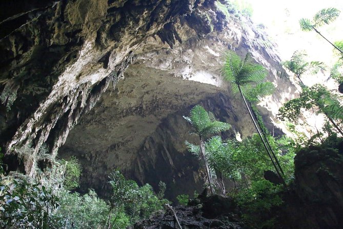 4 Days 3 Nights Mulu 4 Showcaves With Pinnacles - Meeting and Pickup Information