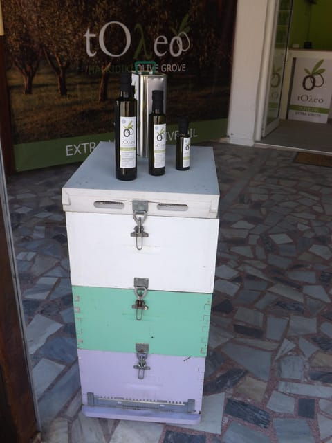 45 Min. Olive Oil Workshop in Kriopigi - Halkidiki. - Workshop Highlights