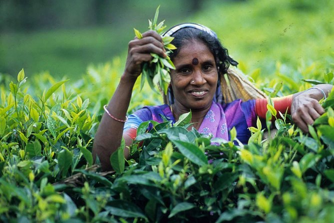 5 Days Bangladesh Tour – Dhaka – Sonargaon – Srimangal