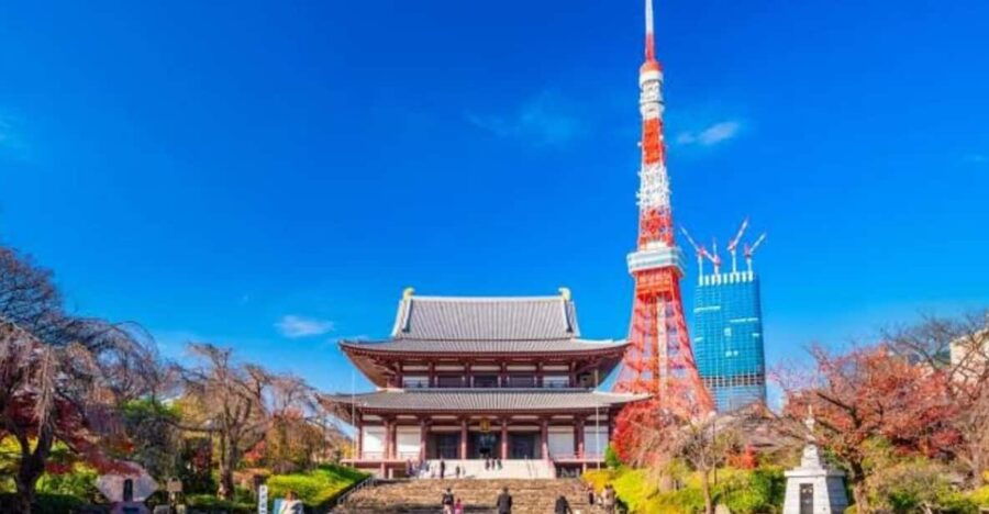 5-Days Private Tour Tokyo, Mt Fuji, Nikko, Hakone and Nagano