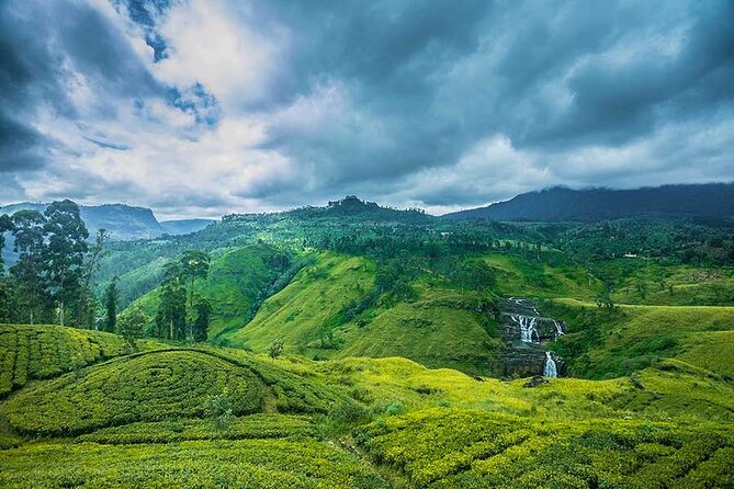 5 Days Private Vehicle With Driver Explore Sri Lanka By Your Own Plans - Tour Itinerary and Highlights