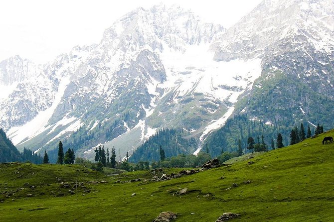 5 Days Romantic Kashmir Tour - Meal Inclusions