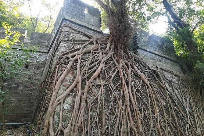 5-Hour Flexible Private Guangzhou City Tour With Dim-Sum Options - Tour Highlights