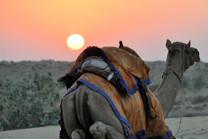 6 Days Golden Triangle With Jaisalmer Desert Safari Tour