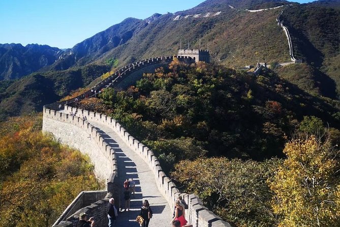 7-Day Beijing to Xian and Shanghai Private Tour With Flight