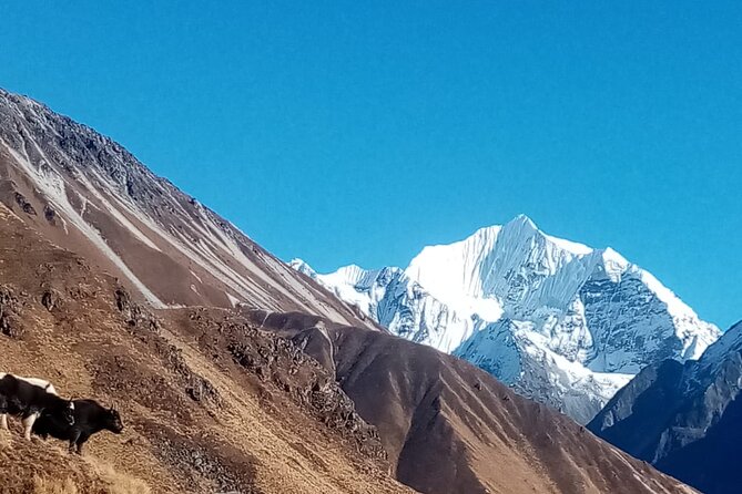 7 Day Guide Only for Private Langtang Trek From Kathmandu - Guide and Inclusions