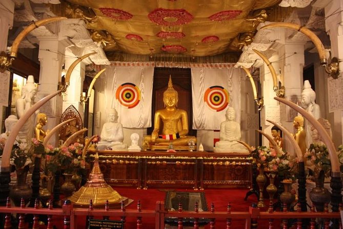 7D – Highlights of Sri Lanka