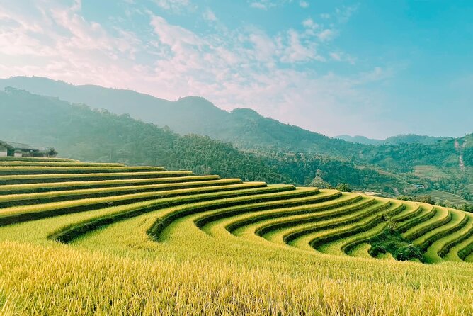 8 Day Private Guided Tour Sapa Hagiang and Ba Be Lake in Vietnam - Transportation and Accommodation