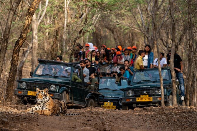 8-Day Private Transport for Golden Triangle Tour With Ranthambore - Day 2: Exploring Agra