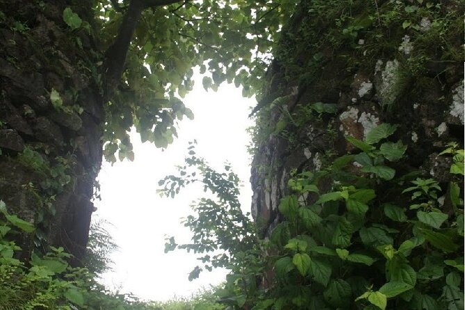 A Day in the Countryside Around Mumbai With Lunch - Tour Inclusions
