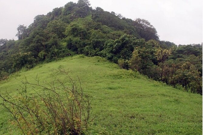 A Day in the Countryside Around Mumbai - Tour Details for Countryside Exploration