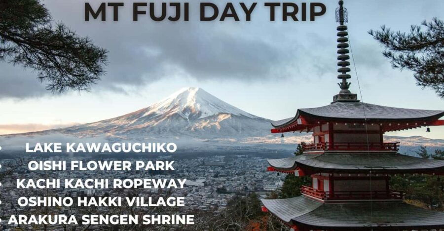 A Full Day Tour in a Private Car or Van of Mt Fuji