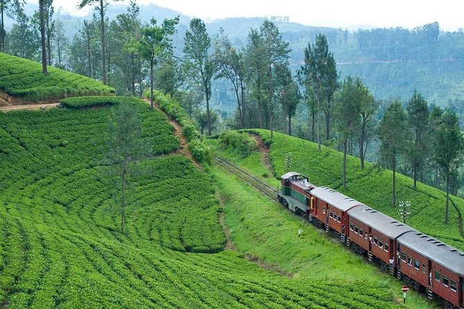 Adisham Rail Tour From Ella or Bandarawela