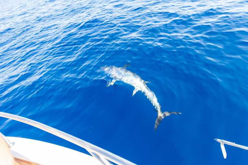 Adriatic Tuna Fishing Adventure With Nautica Massetti