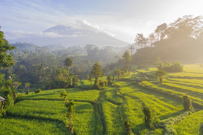 Adventure Guide Sulawesi