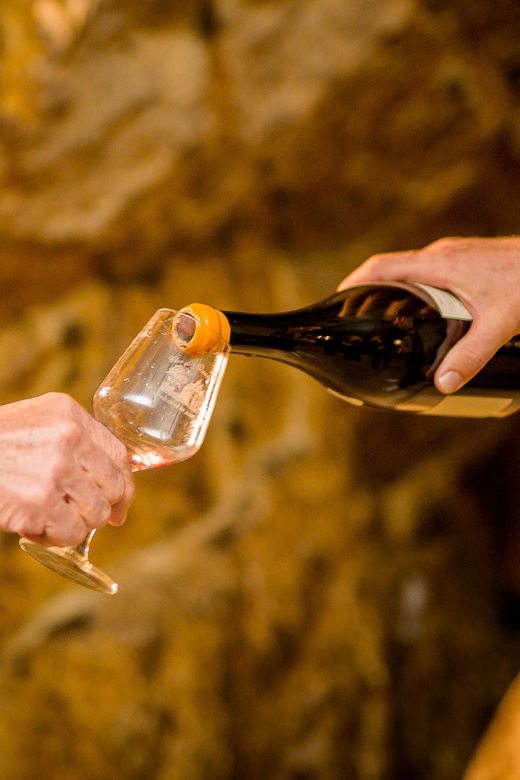 Afternoon- Wine Tour in Touraine From Tours or Amboise