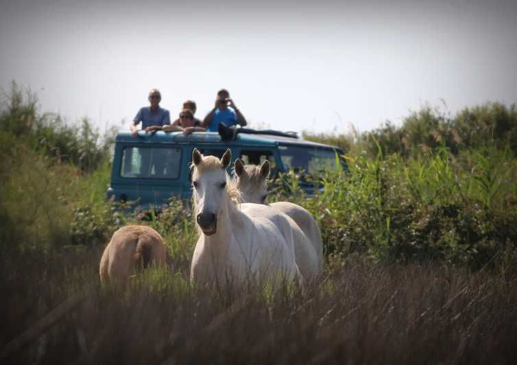 Aigues Mortes: Jeep Photo Safari in Camargue - Overview of the Jeep Photo Safari