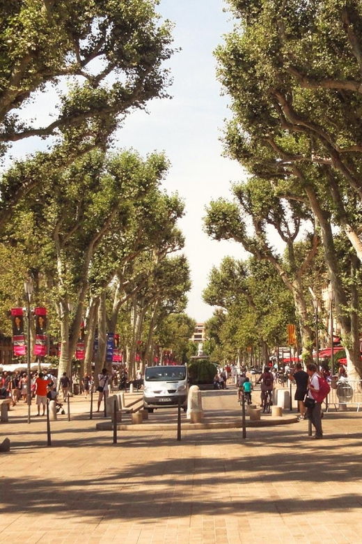 Aix-En-Provence: Sights & Highlights Walking Tour