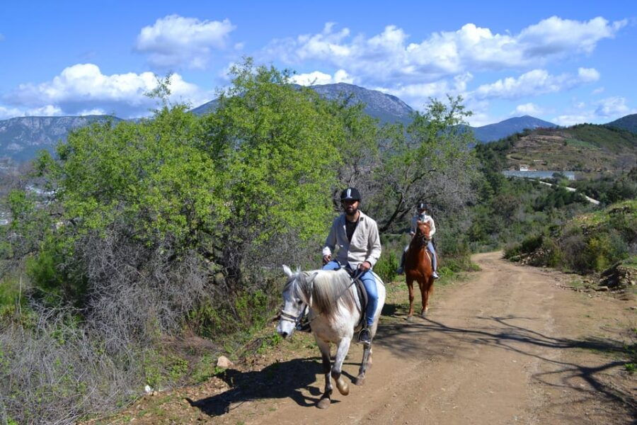 Alanya: Horse Riding Club Transfer Service - Activity Overview