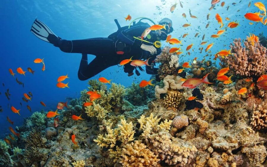 Alanya:Scuba Diving Boat Trip With Lunch and Transfer - Detailed Itinerary